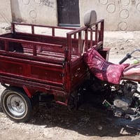 ستوتات • ٢٠١٢ • كوت