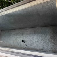 عندي ذني عارضات للبيع بيهن عطل بسيط لو حساس لو غاز البطحيه طوله مترين ...
