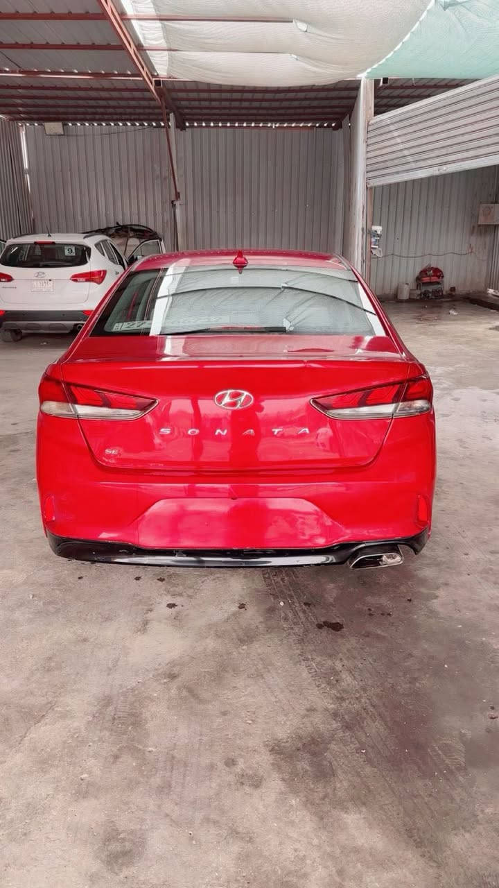 السلام عليكم 
سوناتا 2018
بدون تبديل صبغ بنيد فقط 
شاشه 
كامره 
تحكمات 
رقم دولي ذي قار الجديد مداور ثاني يوم
سعر 130 
عنوان ناصريه مركز 
***********
