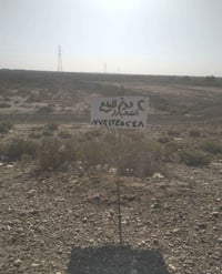 أرض سكنية • دجيلي • طريق الامام المحسن