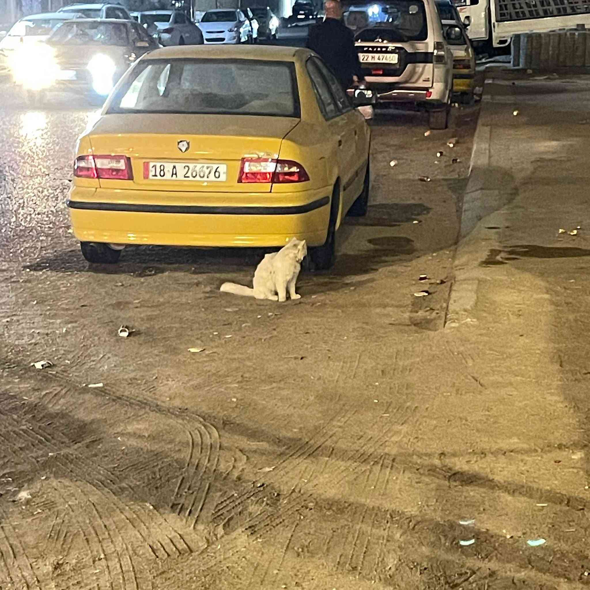 السلام عليكم سمند للبيع موديل 11كيرومكينه خير من الله حداديه جديده داينمو جديده كلج طبي تبريد شغال معمره هلالت ودوس سياره خير من الله كبل للشارع مال جناي مابيها كل نقص سعرها0 3 الرقم ***********

