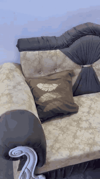 سلامو عليكم
ديوان  زاد قنفات باب. اول
نظافة 90 من 100
السعر 350
 وبيهن مجال
*********** وتساب العنوان رمادي  فلوجة
التوصيل موجود
