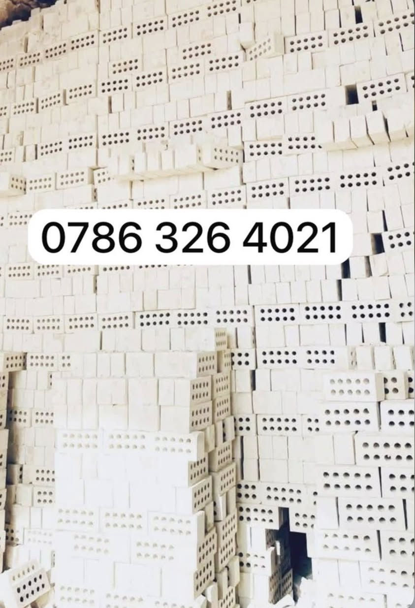 يالله اللهم صل على محمد وال محمد  سلام عليكم انخفاض✅ أسعار الطابوك 😍احسن من الايام السابقه ✅اذكر منطقتك ويجيك😍الرد
