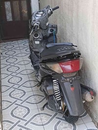 سكنس فحل • مرتبه • بيت