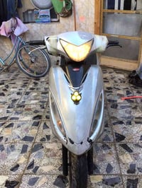 كامكو • نضيفه • القرنه شجره ادم