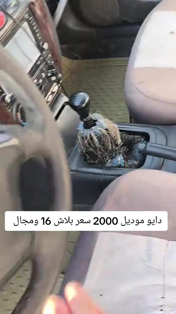#***********  #سليماني #العراق🇮🇶 #العراق #كوردستان 
