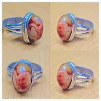 عروض العيد • حجز بالصور • خاص المعتمدين