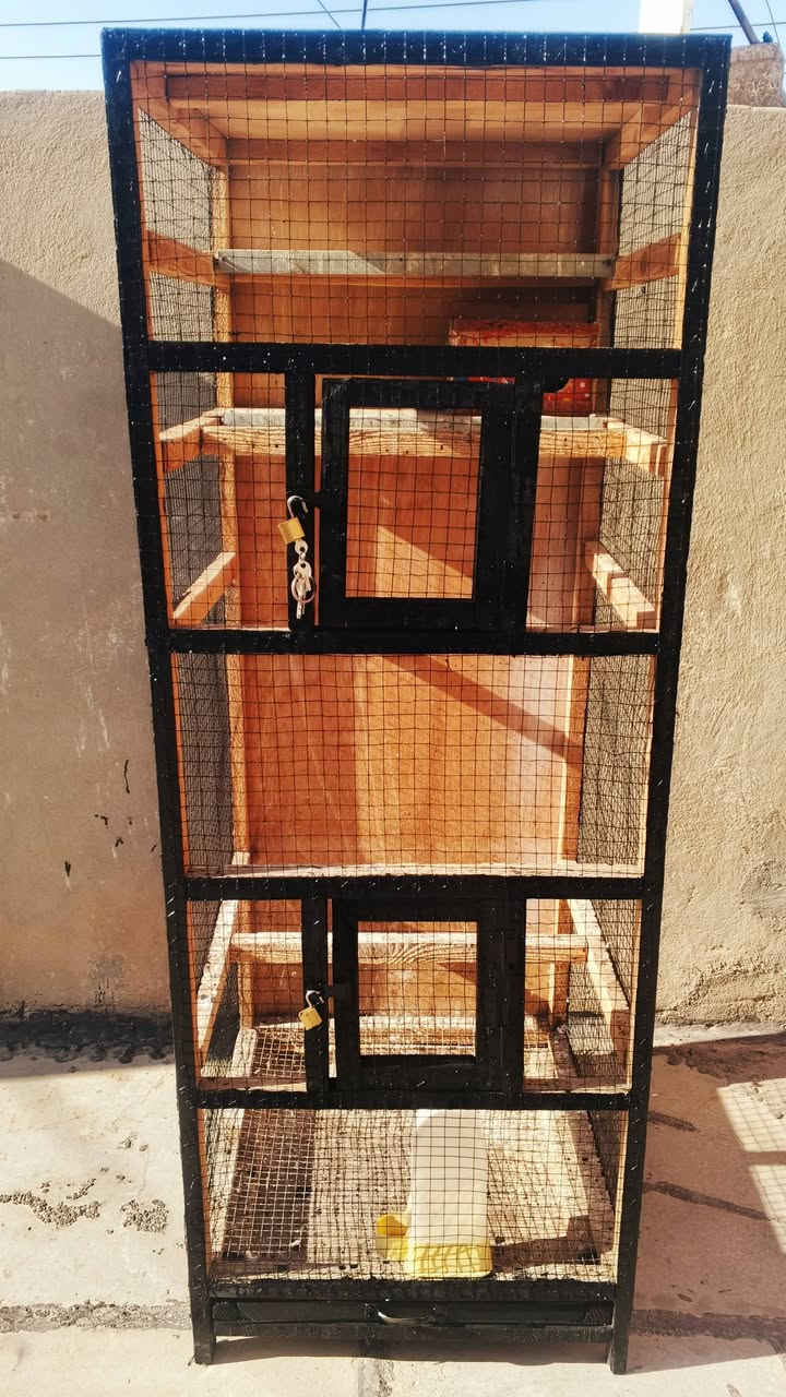 السلام عليكم متاح قفص خشب نضيف بدون اي ضرر  الطول 150سم والوجه 50 سم ونزال50 سم سيم حديد وسيم ارضية مع جرار تنضيف ورفوف عدد2 يكفي ل4 بيوت طيور حب او 6  مع زوايا 2 حديد لحماية الخشب من اكل الطيور يحتوي على باب عدد2  وقفل عدد2 مع بيت طير حب ومشربية ماء  القفص يرهم للبلابل او طيور الحب او فناجس  او كوكتيل او حمام ملكي السعر والمكان بالتعليقات ...


**إذا كنت صاحب هذا الإعلان وتريد حذفه لأي سبب، رجاءا أرسل رسالة إلى الدعم الفني**