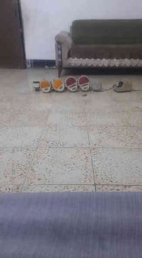 للإستفسار اتصل على الرغم07832900618