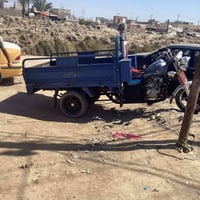 ستوته  لبيع مكفول ه 07875784594