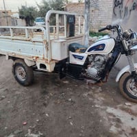 ستوته • ٢٠١٩ • مكفوله