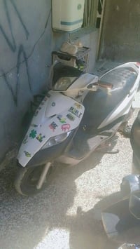 ثعلب • بغداد • لبساتين