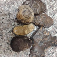 احجار كريمة • نيازك