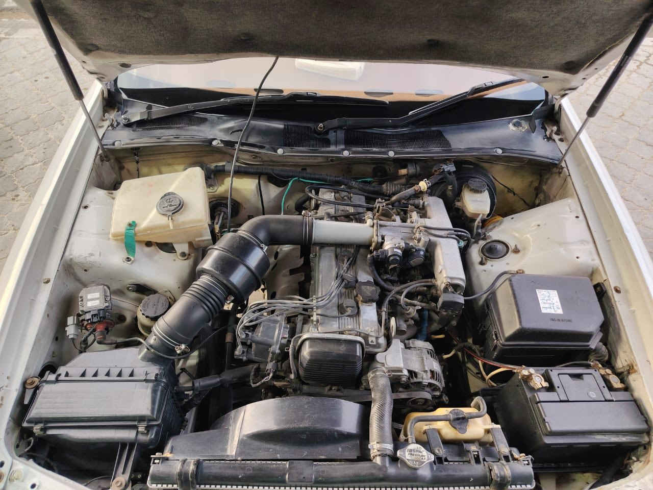 السلام عليكم ورحمة الله وبركاته كرسته نفخ للبيع رقم بصره مكفوله من الكص والنغل جثه والعيب الشرعي كير ومكينه كفاله السياره رقمها بصره بسمي العنوان بصره زبير رقم *********** اتصل وتدلل السعر 75
