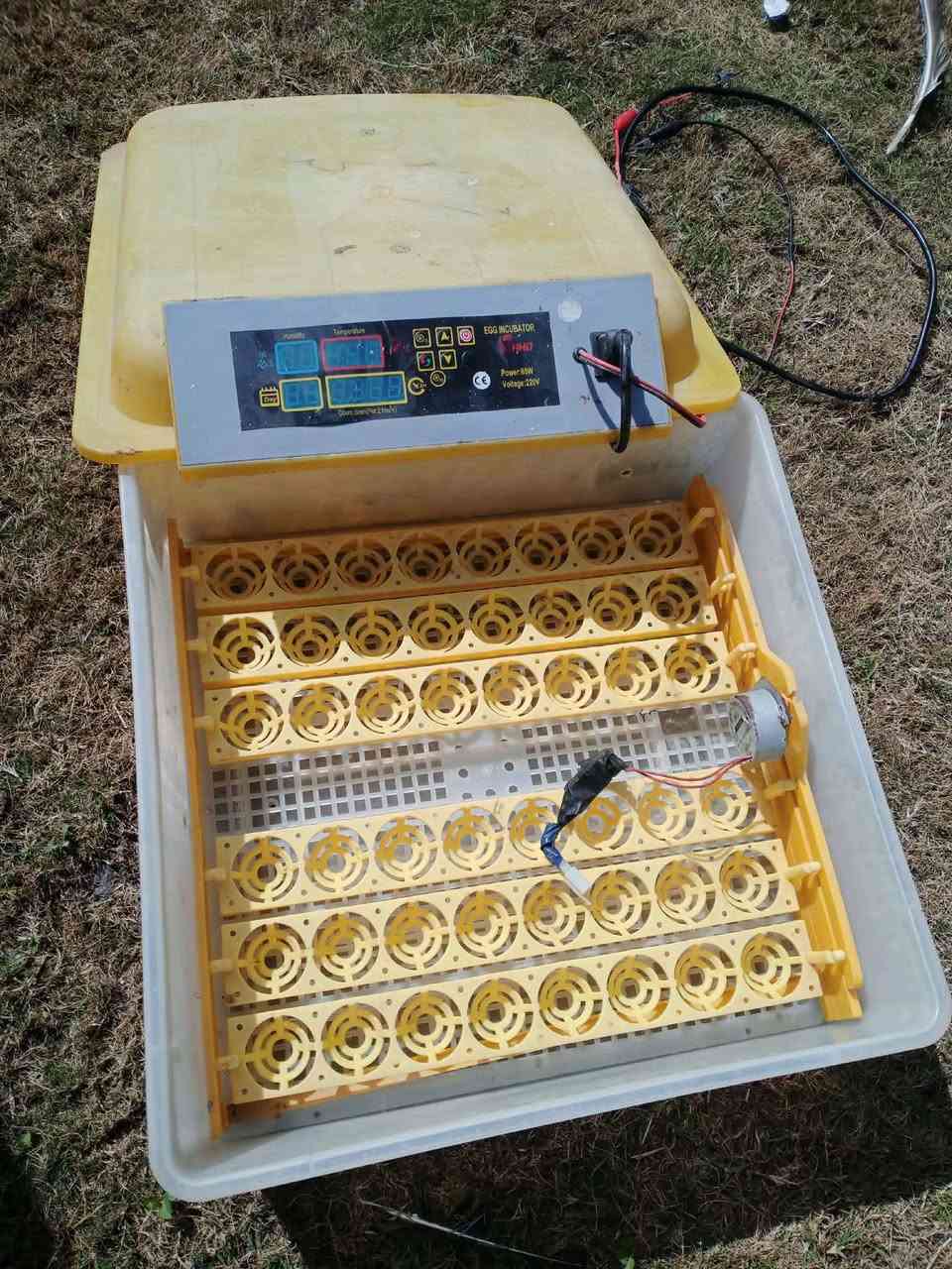 متاح مفقسه تاخذ 48 بيضه تقليب اوتماتيك نسبه التفقيس عاليه
 السعر 100


**إذا كنت صاحب هذا الإعلان وتريد حذفه لأي سبب، رجاءا أرسل رسالة إلى الدعم الفني**