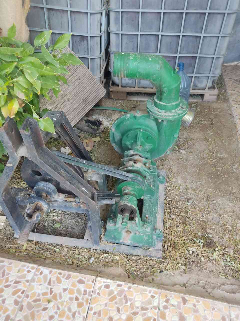 خنزيرة نظيفة حجم6/ب5
فول نظافة  شغلها خير من الله 

سعر 450
 العنوان /ديالى جلولاء 

للاستفسار الاتصال على ***********
