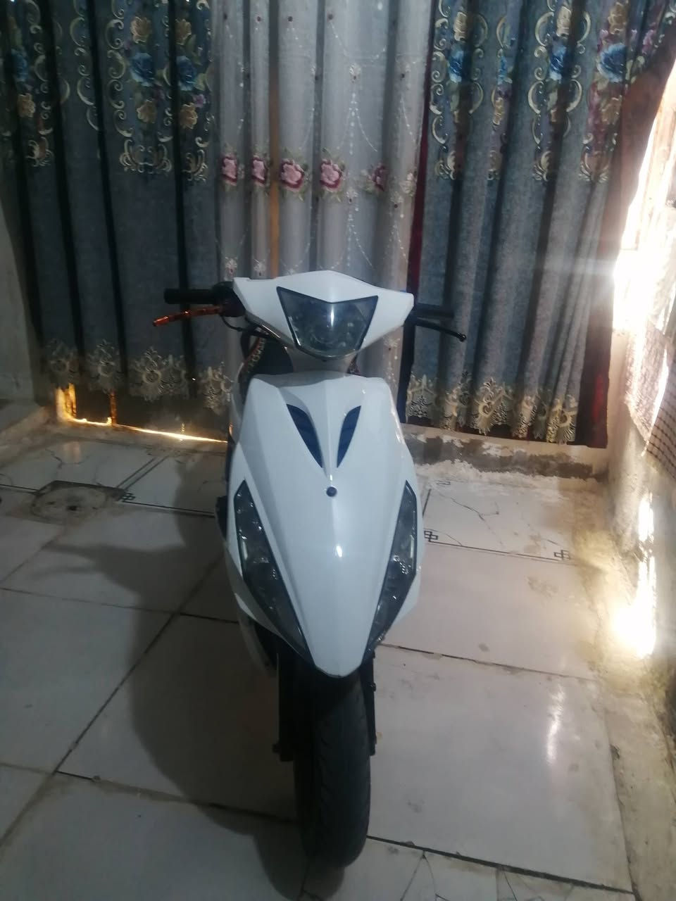 ،، ماكس ثعلب مراوس 11(***********
