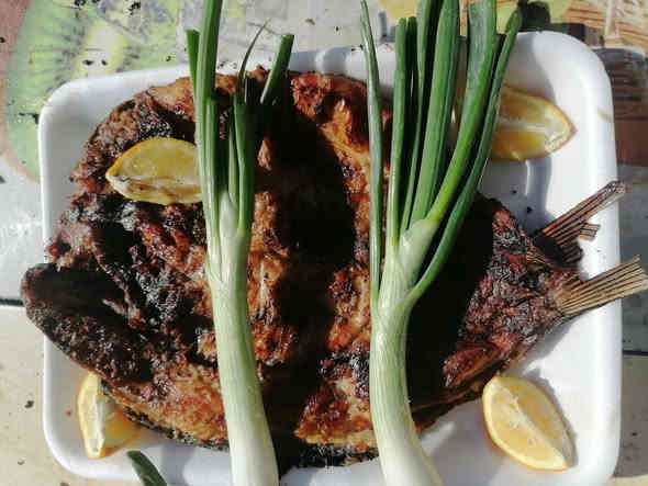 مسكوف ابو يزن لاسماك،  للطعم عنوان
سعر الكيلو 7500

المكان قرب موكز صحي
توجد خدمه توصيل.
***********
***********
نتواجد من 8صباحا الي 6مساء
