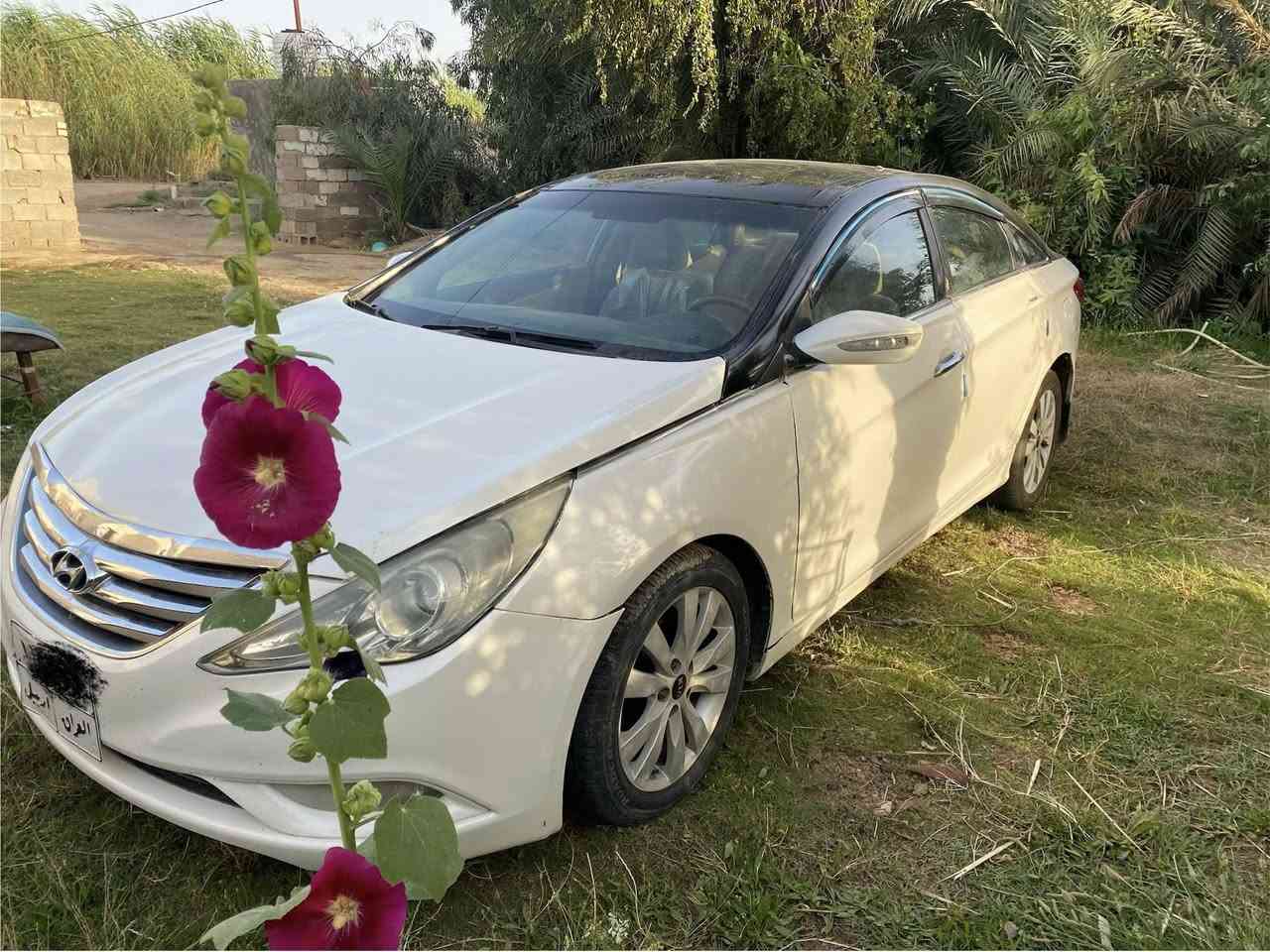 السلام عليكم للبيع سوناتا 11خليجي  فول مواصفات سيارة بيه محرك  دوش 2400مو زين بي رواجز ابيع محرك كايم السعر 73  قفل سياره بيه ضرر جاملغ خلفي بيه صبغ حزام مكفول من الكص مكفوله  رقم اربيل الماني اتصل *********** مكاني واسط النعمانية

