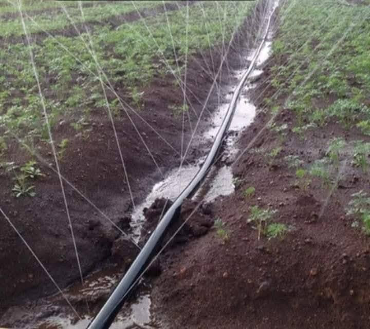 الزراعه الحديثه
سواقي زراعيه ٢ انج مثقبه ليزريه 
الطول ١٠٠ متر 
مسافه تدفق الماء ٤ متر 
كل 500متر تكفي لزراعه دونم واحد 
تستخدم لزراعه البصل والشلغم والبريسم والجت
سعر 100متر 12 الف دينار 
***********
