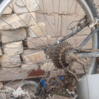 باسكل ياباني • للبيع