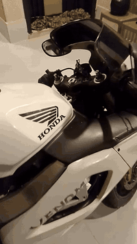 Cb1000rrللبيع
دراجه نظيفه وشلعتها حلوه وكفراتها نظافه 80بالميه محرك مفتوح وكهربائيات كلها شغاله بس الأشاير ميشتغلن لايت عالي ناصي بگ لايت شغال كزوز رياضي akrapovic
سعرها 17 ورقه وبيه مجال بسيط مكاني كوت 
***********
