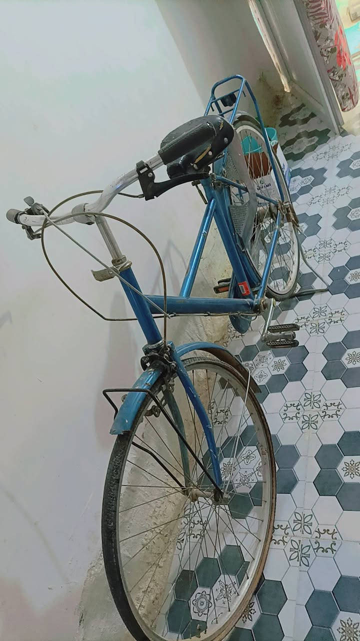 بايسكل ياباني للبيع سعره75


**إذا كنت صاحب هذا الإعلان وتريد حذفه لأي سبب، رجاءا أرسل رسالة إلى الدعم الفني**
