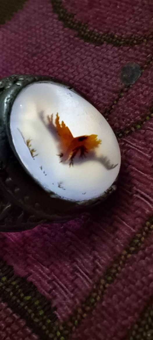 محبس فضه خراسانيه سعر٢٥ البصرة, العراق


**إذا كنت صاحب هذا الإعلان وتريد حذفه لأي سبب، رجاءا أرسل رسالة إلى الدعم الفني**