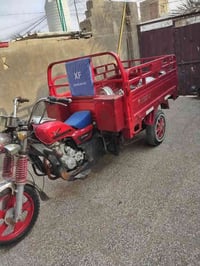 ستوته ٢٠١٩ • أوراق كاملة • نجف العباسية