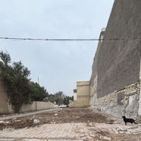 القاهرة الضباط • ٨٩م • واجهة ١٠م