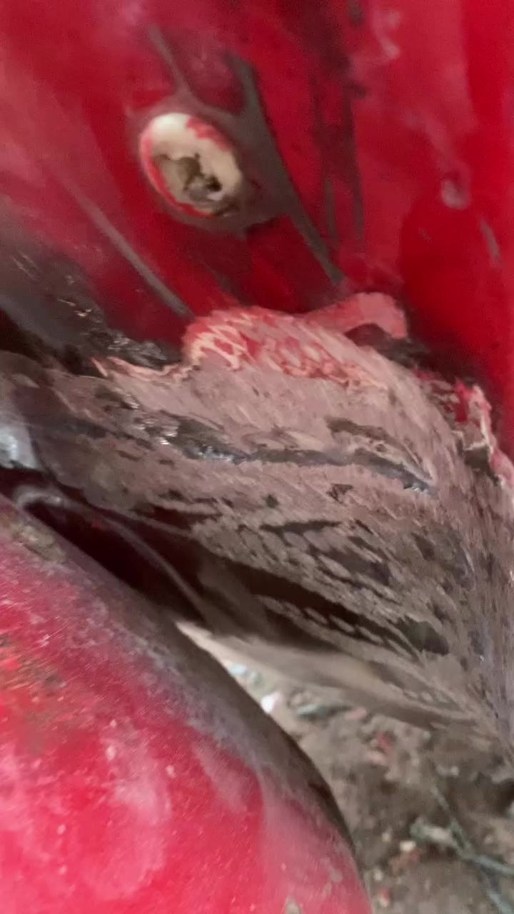 ‏سمكرة حسن الدلفي***********
