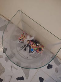للبيع • ديكور منزلي