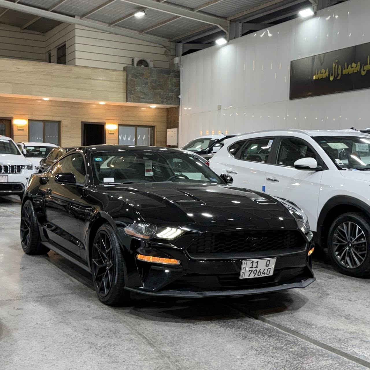 سلام عليكم موستنك ايكو ٢٠٢٢ بيع او مراوس حادثهة جنطة مبدلة نفس اللون وجاملغ خلفي صبغ سيارة ماشية ٢٥ الف جديدة وبدون نقص گير مكينة بلاديات كفالة حدادية منضومة تبريد جاهزة سيارة بدون اي نقص تحويل مباشر 

السعر.  ١٧٨. وبيه مجال
مكان السيارة بغداد البياع

***********
