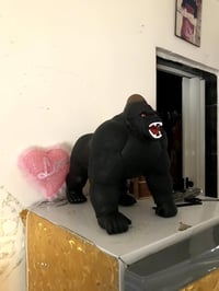 حجم كبير للبيع 07702589570