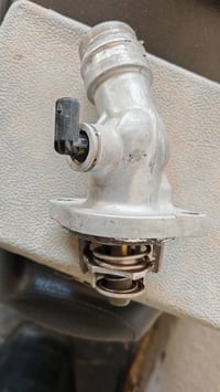 ولف حماوة • ٢٠١٧ • الكوت