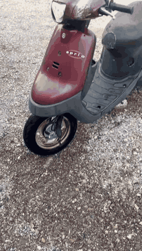 وزوازة نضيفة ناعمة مجفتة مرة وحدة مكينة حلوة نشطة ناقصهة نواعم كلوبات وبورية مال ستان طاكة  موجودة الحديدة بس لحمهة سعر 225بيهة مجال ***********مكاني أبو لخصيب حمدان
