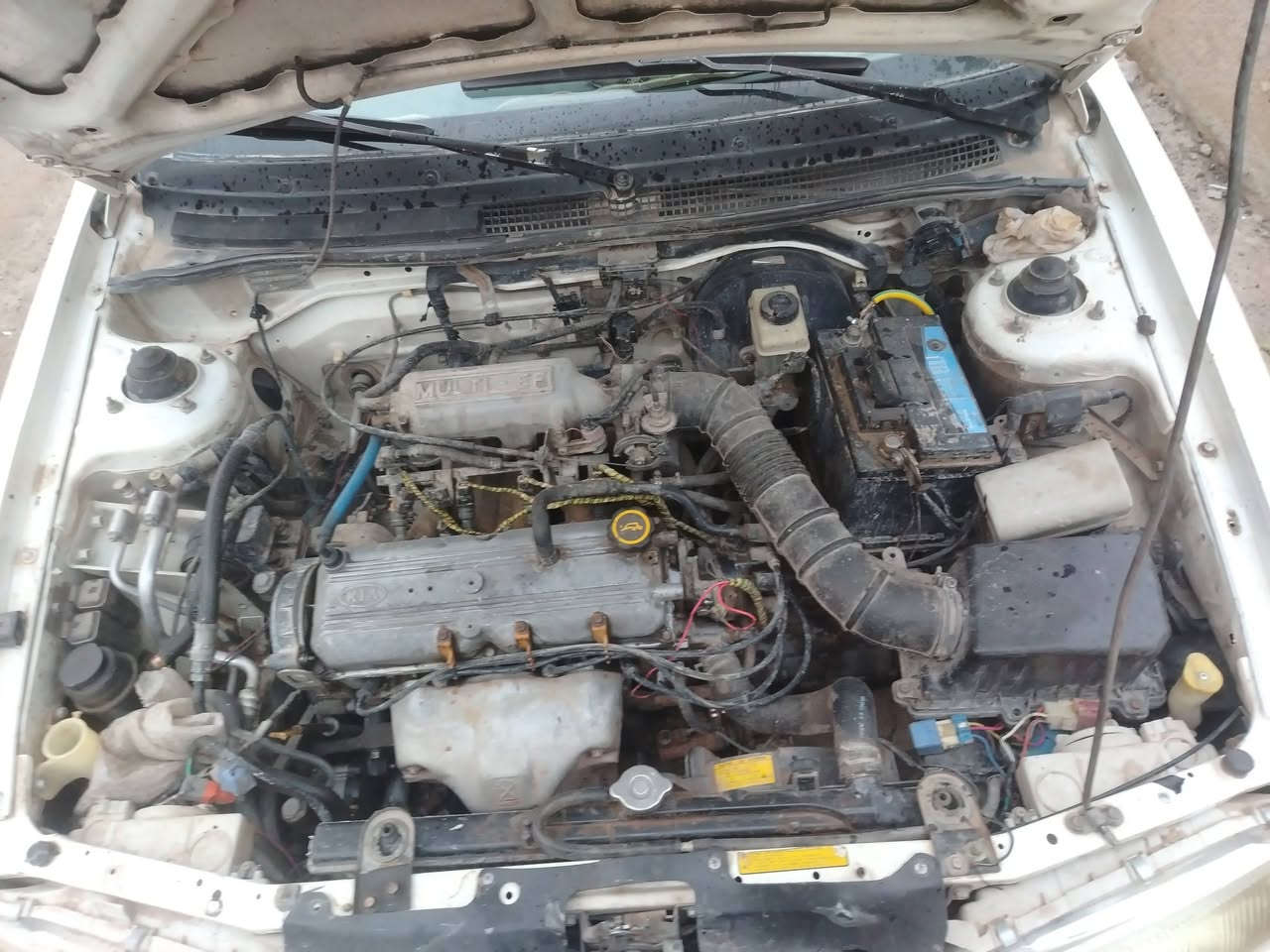 كيا سفيا ٩٦ نضيفه رقم انكليزي بغداد سنويه ٢٠٣٠ تبريد تتفئه  كير محرك شرط لايت زنون تخم تاير  مصبوغه عام العوان سامراء السعر ٣٨ وبيها مجال شويه
