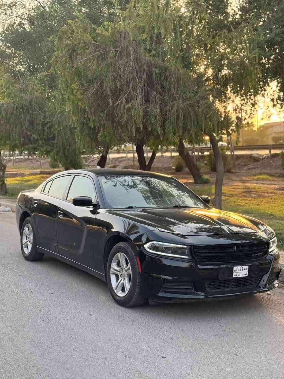 جارجر 2023
محرك 6 سلندر 3600

مواصفات SXT 

شاشة جبيره

حساسات خلفيه

تشغيل عن بعد

وارد امريكي بدون رقم 

ضررها واضح بالصور 

تبديل باب ايمن وجاملغ نفس اللون
ايرباك برده فقط وراجع سستم وعلى الفحص

السعر 212 ورقه

***********
