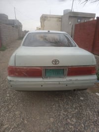 لون صدفي • رقم نينوى • مقصوص