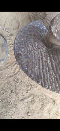 حداد متفرغ وتساب 07881719705