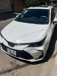 كورله هايبرد • ٢٠٢٥ • بصرة