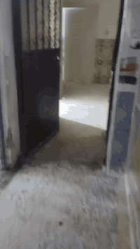 بيت للايجار • بغداد جديده • شارع مسبح