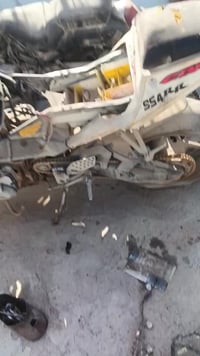 نجف • دفل • اوراق وكمرك مدفوع