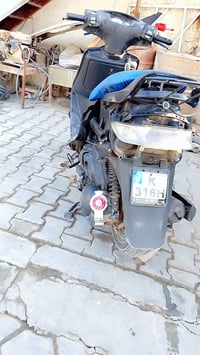 فراشة الربيع • فل • نجف