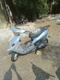 بيجي • فول • سلف