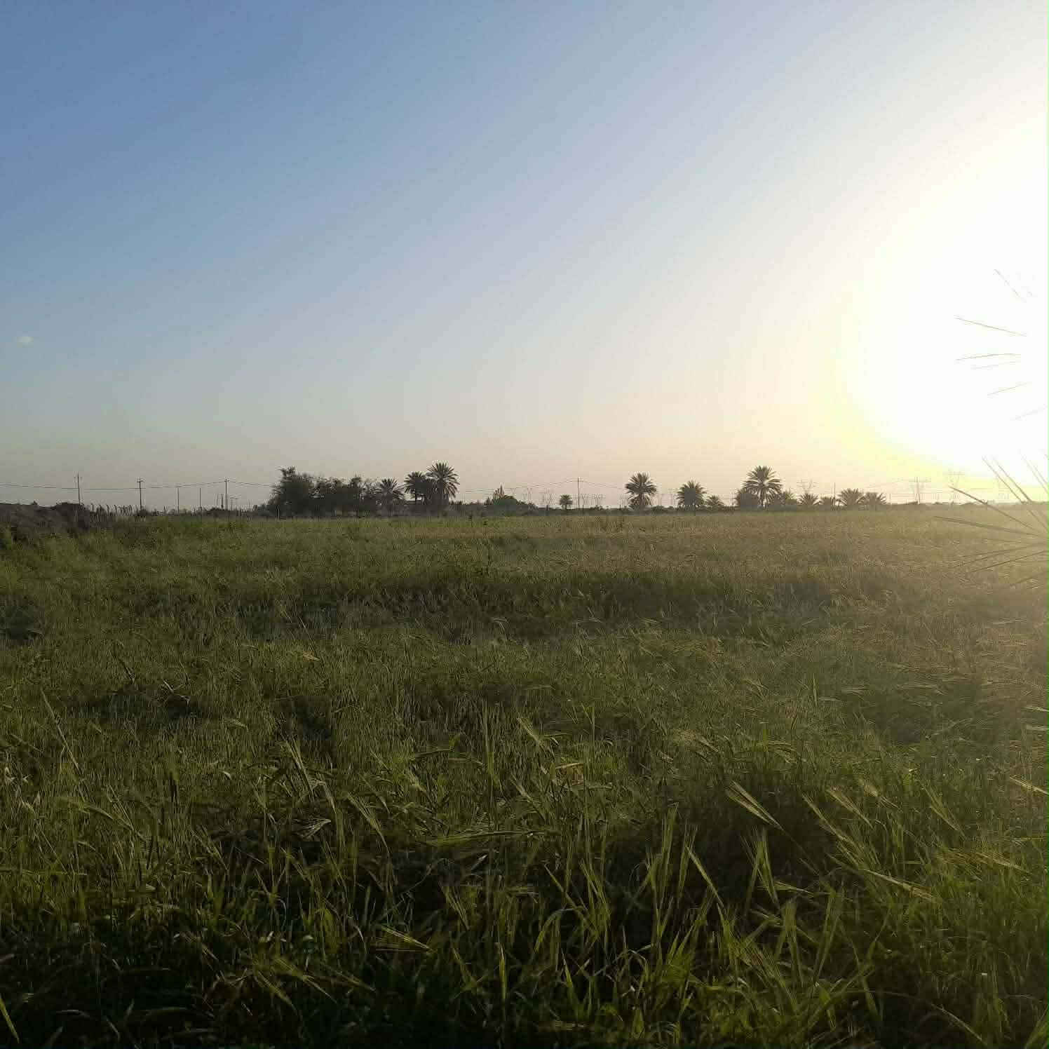 🌿 أرض زراعية للبيع على قرار 117 🌿

📍 المساحة: 12 دونم
🏡 تحتوي على بيتين 
🌴 تضم 14 نخلة مثمرة
💧 متوفر ماء نهر + ماء إسالة
⚡ الكهرباء متوفرة
🚜 الأرض جاهزة للزراعة مباشرة
🛣️ قرب مطعم عبدالله / تبعد عن الشارع العام 3 كم فقط

✅ موقع مناسب للسكن والاستثمار الزراعي
✅ جميع المقومات الأساسية متوفرة
✅ فرصة ممتازة للراغبين بالزراعة أو إنشاء مشروع زراعي متكامل

للإستفسار أكثر مراسلة بوابة الزبيدية للعقار
أو الاتصال

***********
***********

