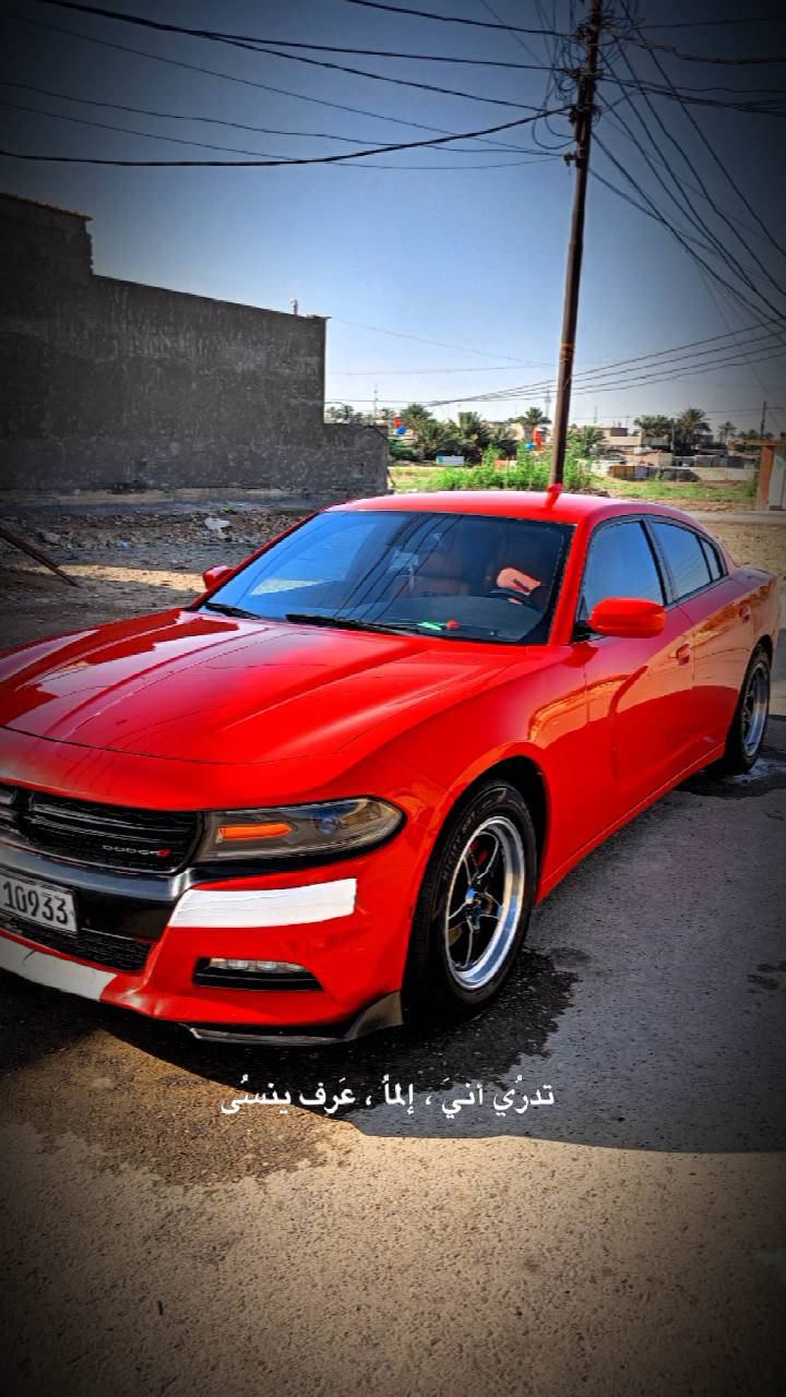 السلام عليكم جارجر موديل 17 كفاله حته دعاميات  بيها جاملغ الخلفي نص صبغ بدون دكت جاكوج ولباقي كافاله بشرط سياره جاهز للاخير مكينه كير كفاله بشرط رقم سليمانيه سياره جديده ماشيه 190حقيقي العنوان بغداد بسمايه السعر 220وبيها مجال حك اجيه رقم ***********
