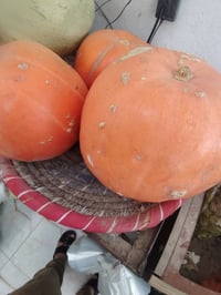 فواكه • خضار • مخضر • حليب غنم • حليب بقر • خضرة ديرة • توصيل طلبات • ...