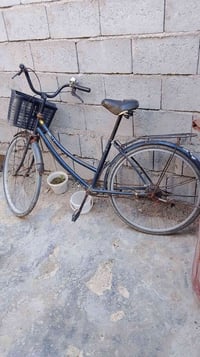 باسكيل • حجم ٢٦ • حي النصر
