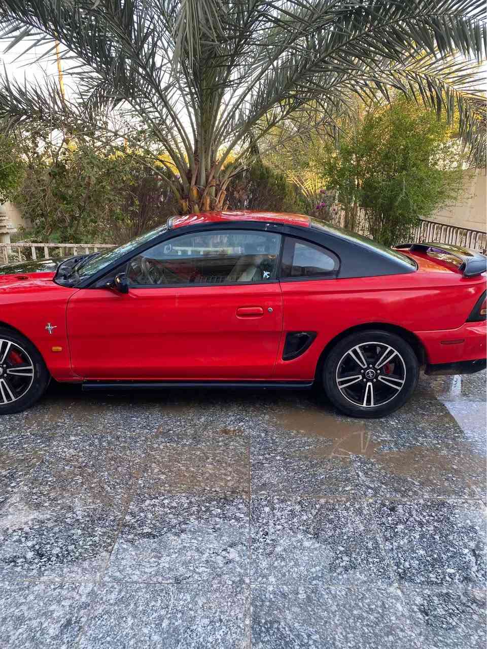 فورد موستنج 1996 سعر 30 كير مكينه حاويه سيارة حاءز ثالث انطيك كل مستمسكاته راعيها بغداد اكفله من سرقه وعشاير ديوانية, القادسية


**إذا كنت صاحب هذا الإعلان وتريد حذفه لأي سبب، رجاءا أرسل رسالة إلى الدعم الفني**